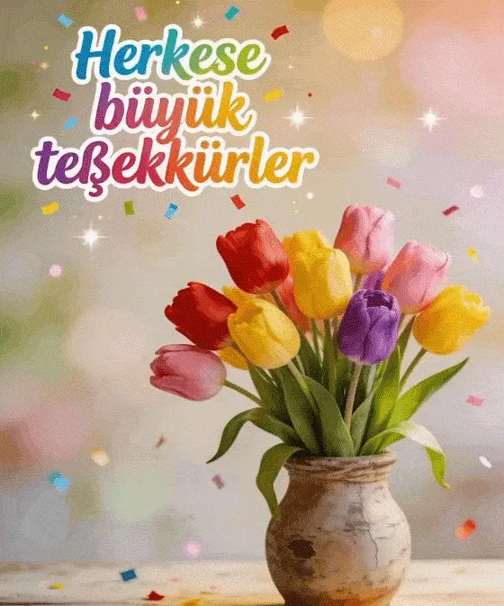 Gönderi görseli